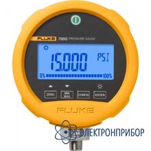 Прецизионный калибратор манометров Fluke 700G31