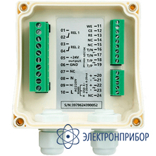 Цифровой промышленный контроллер хлора и ph AQUA-LAB AQ-CHL2 (24В)