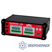 Модуль расширения дискретных каналов DigiGOOSE-600