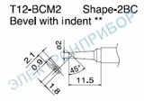 T12-BCM2