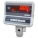 Накатные низкопрофильные весы ЕВ4-Max-НH (WI-5R;1200×1200)